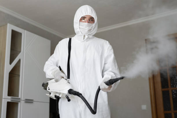 Biohazard Mold Removal in Sayville, NY